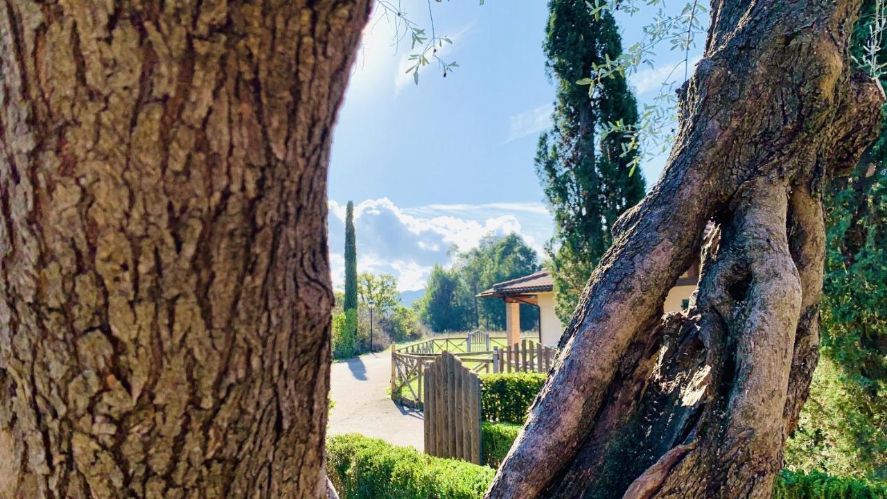 Casa In Maremma Tuscany Village Scarlino Eksteriør billede